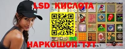 ALPHA PVP Новозыбков