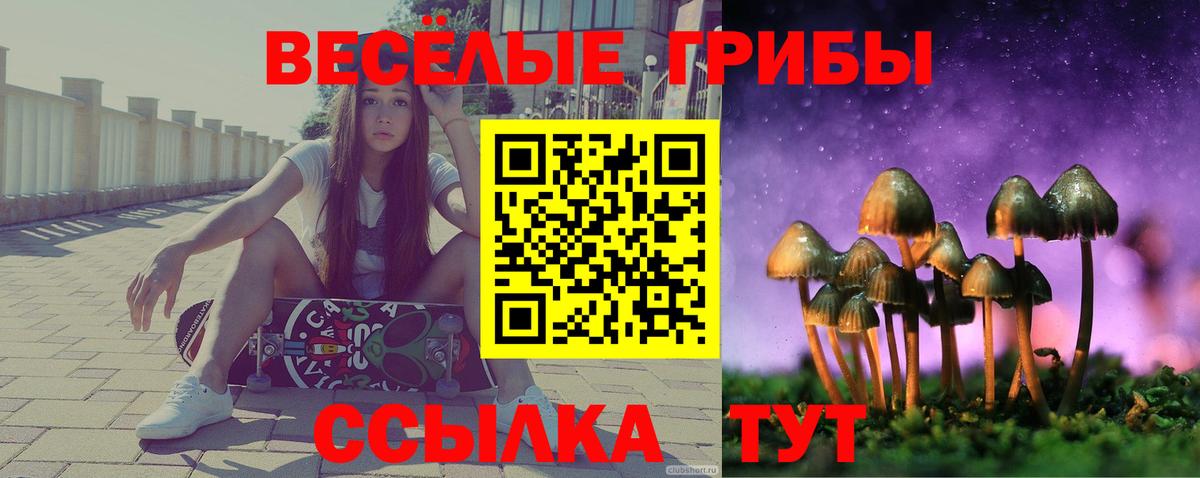 Галлюциногенные грибы Magic Shrooms Тимашёвск