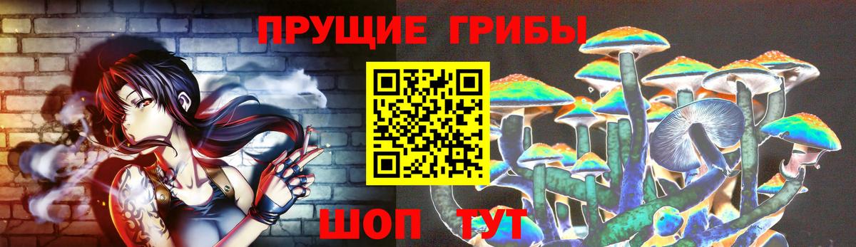 Галлюциногенные грибы MAGIC MUSHROOMS  Вход с VPN  Тимашёвск 